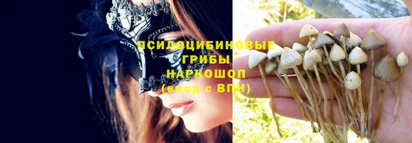 кристаллы Гусев