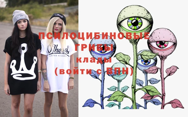 кристаллы Гусев