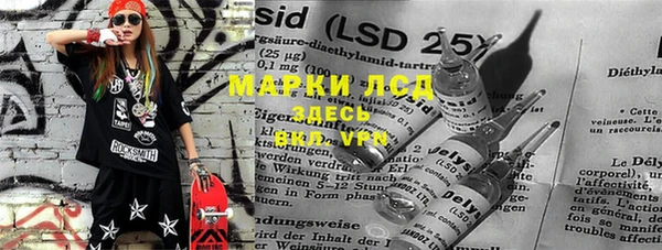 ПСИЛОЦИБИНОВЫЕ ГРИБЫ Гусь-Хрустальный