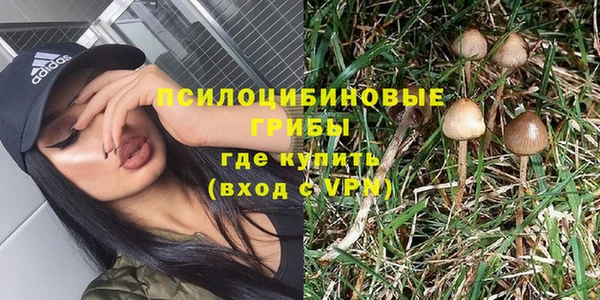 кристаллы Гусев