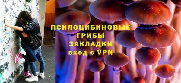 кристаллы Гусев