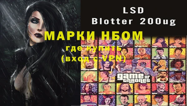 ПСИЛОЦИБИНОВЫЕ ГРИБЫ Гусь-Хрустальный