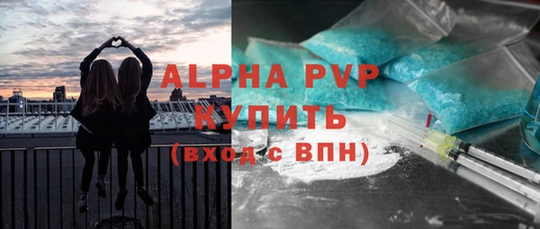 ПСИЛОЦИБИНОВЫЕ ГРИБЫ Гусь-Хрустальный