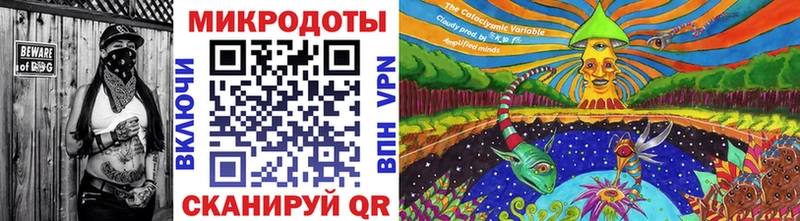 Купить закладки  Кириллов  Галлюциногенные грибы Magic Shrooms 